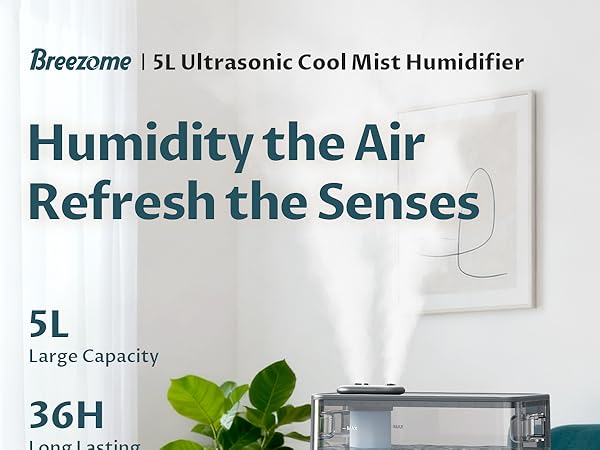 humidifier