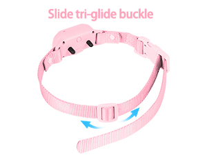 dog training collar