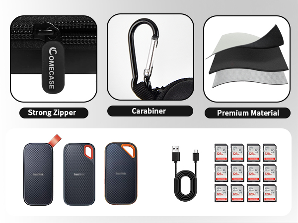 sandisk case