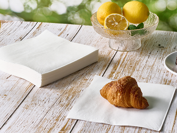 everyday white napkins