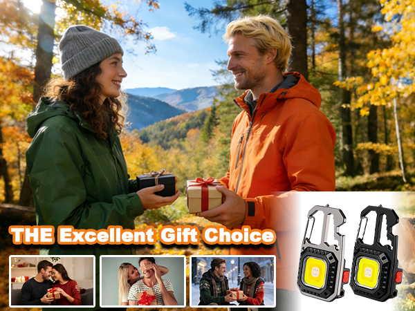 The excellent gift choice.