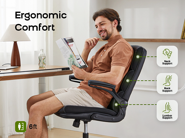 Ergonomic Chair