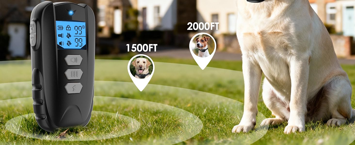dog training collar 2