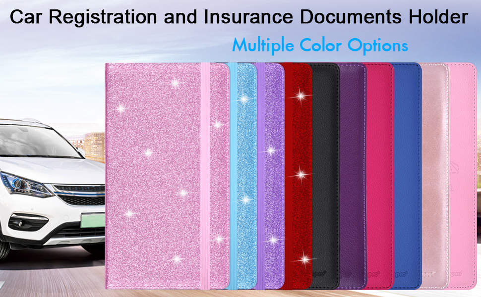 Car Insurance Card Holder