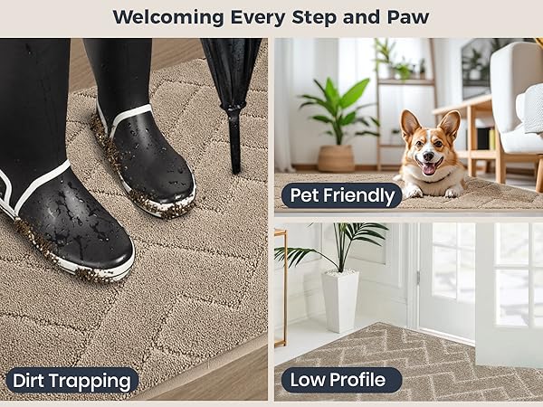 Dirt Trapping Doormats Pet Friendly Low Profile
