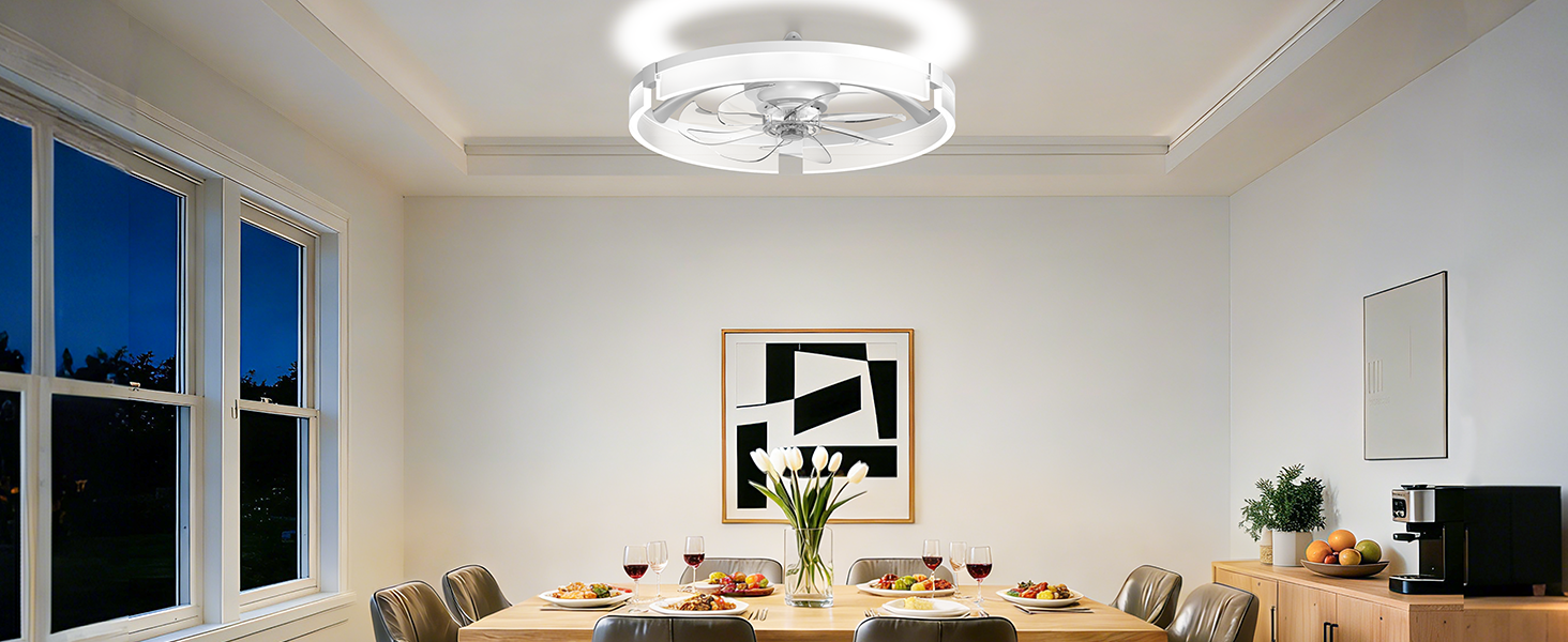 modern ceiling fan with light
