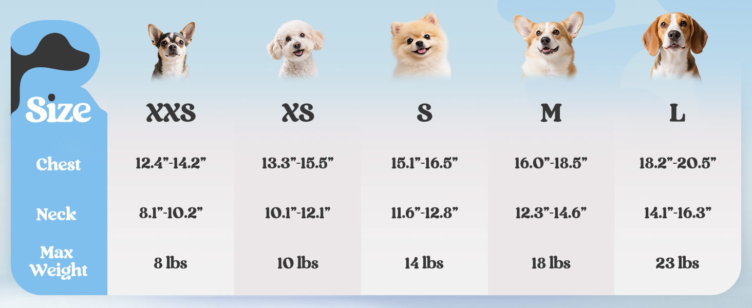  rabbitgoo Dog Harness