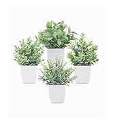 fake plant