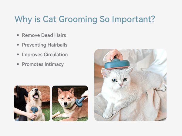 cat brush dog brush for shedding