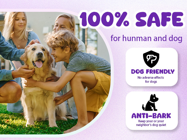 sonic dog training device