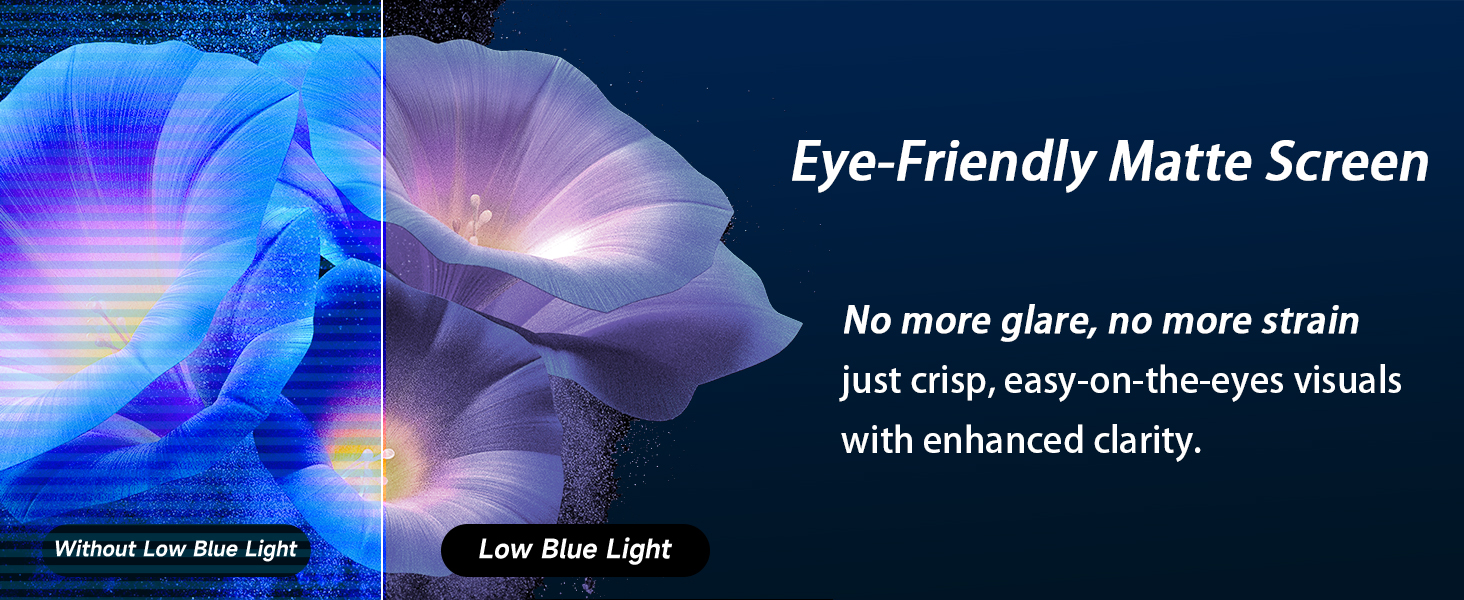 portable monitor with hdmi