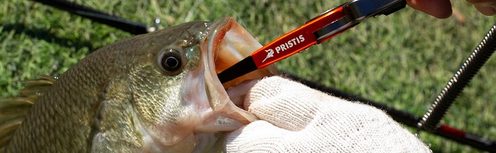 Plier Pristis