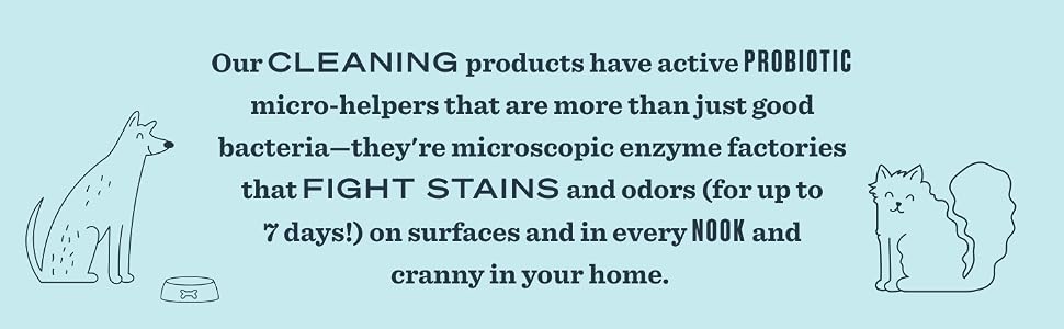 pet cleaning, pet stain remover, pet odor removal