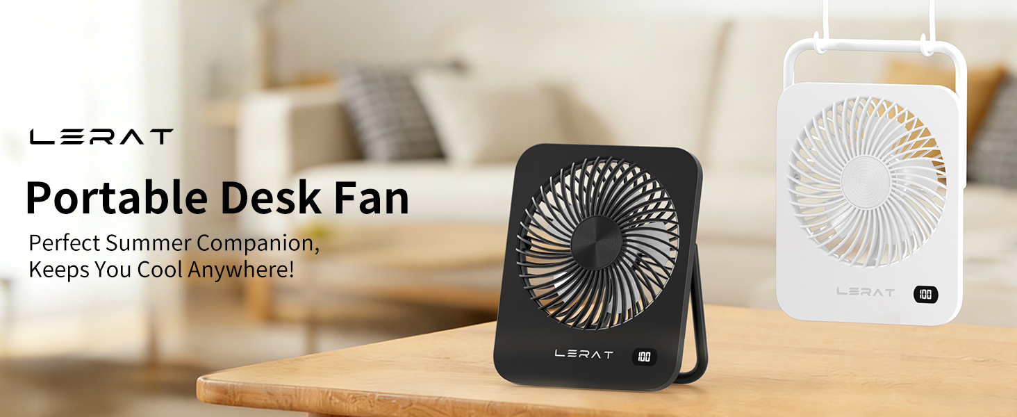 Desk Fan