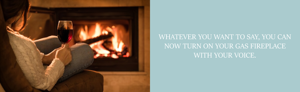 Voice Control Your Fireplace, 5 Volt Relay Switch Kit, Relay Kit, Micro USB Cable, Power Adapter