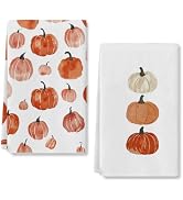 RABUSOFA Watercolor Burnt Orange Pumpkins Fall Kitchen Towels Kitchen Decor | Dish Towels 18x26 I...