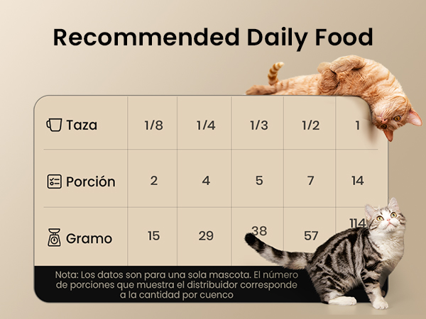 automatic cat feeder