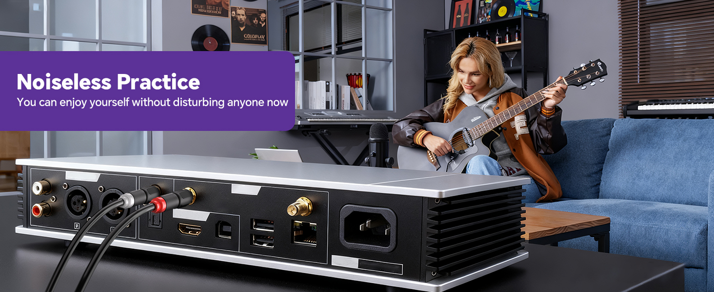 RCA to 1/4 adapter with Lossless audio quality