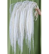 Natural Dried Wisteria Hanging Flowers