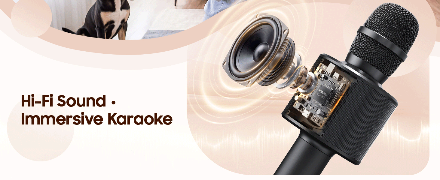 karaoke microphone