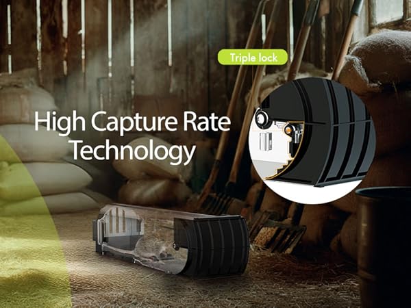 Humane Mouse Traps, 12 inches Enlarged No Kill Rat Live Traps for Chipmunks,