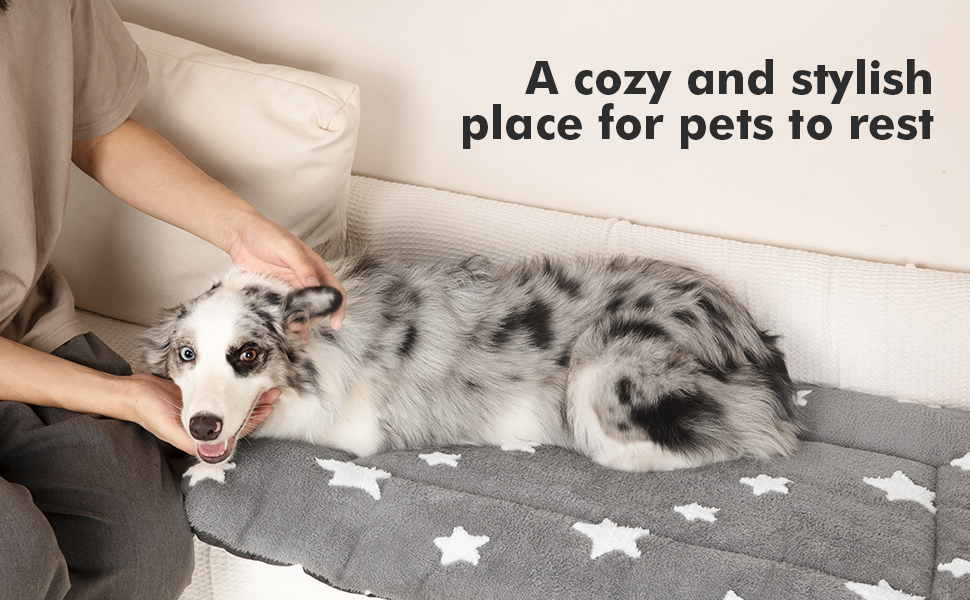 dog crate pad dog bed