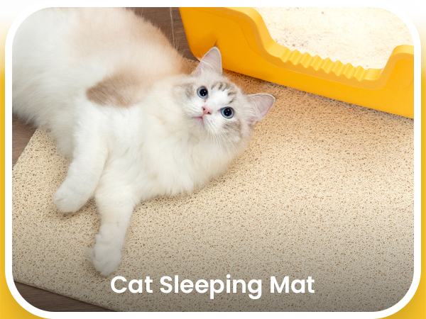 cat litter mat