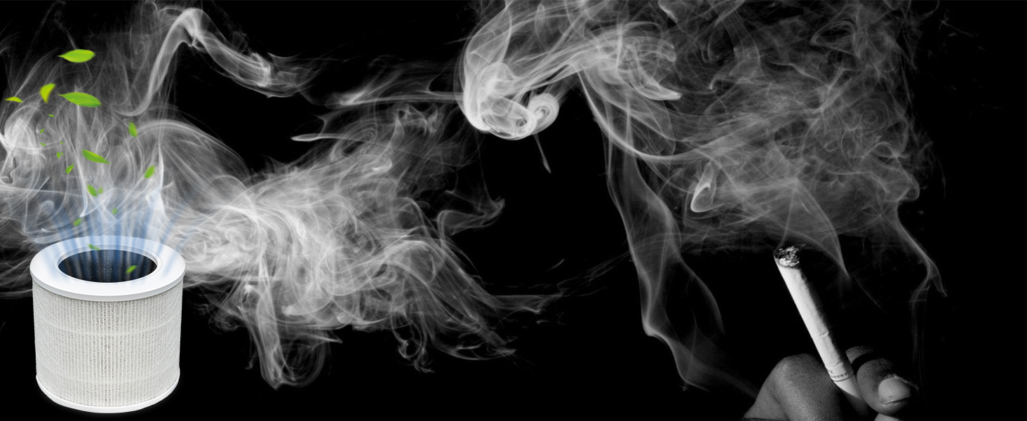 LQ-Mini-AA1464-02CA01