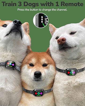 canivix dog training collar