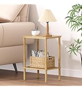 Bamboo Side Table, Small Bedside Table, 2 Tier End Table with Open Shelf, 21.5 inch Tall Narrow C...