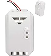 DC 12V Natural Gas Detector, rv Propane Gas Detector, Propane Detectors for Home, Natural Gas Pro...