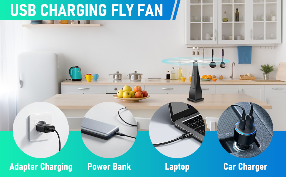 fly fan