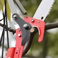 POLE SAWS FOR TREE TRIMMING
