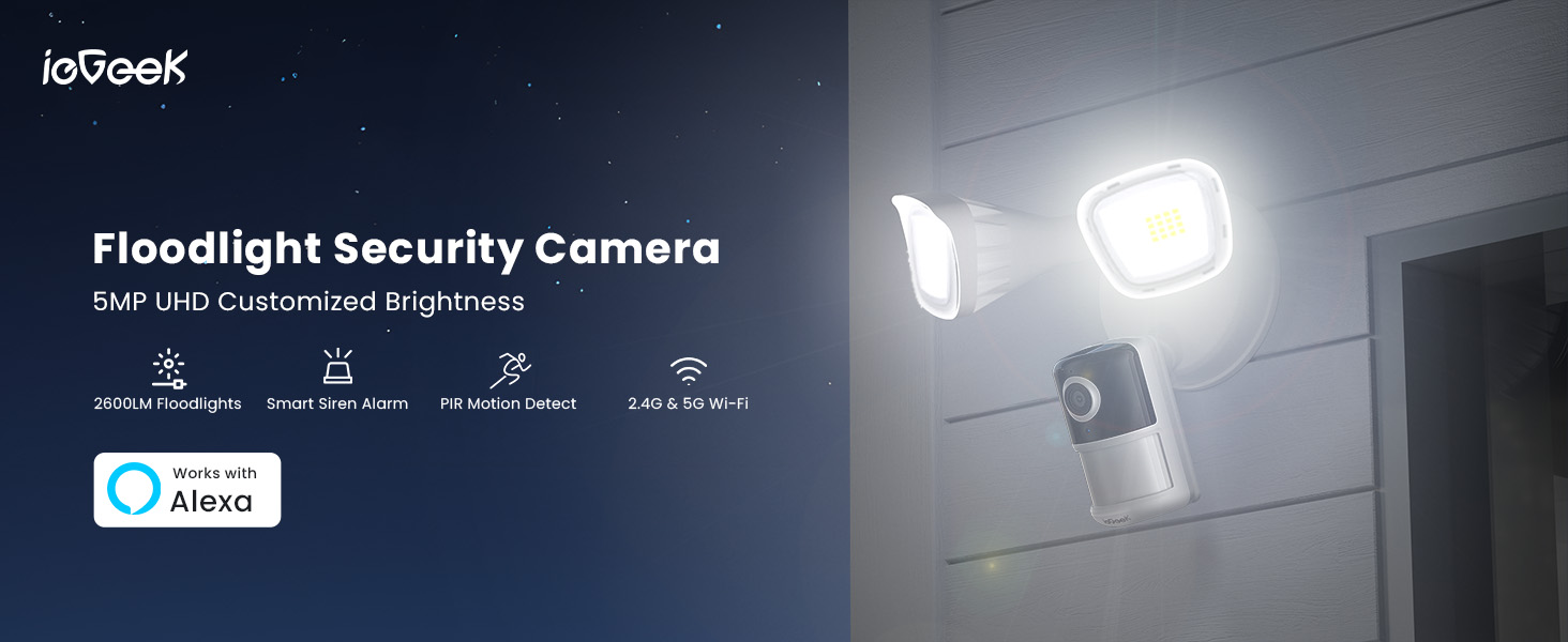 floodlight camera