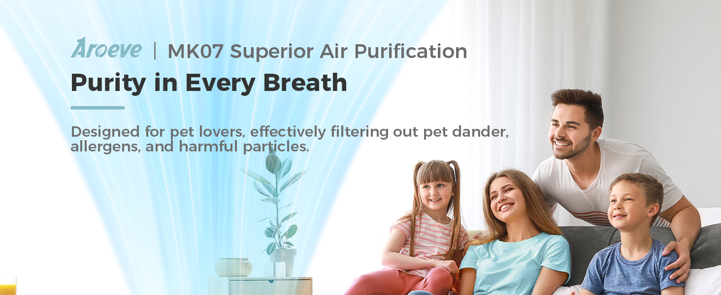 air purifier powerful purify