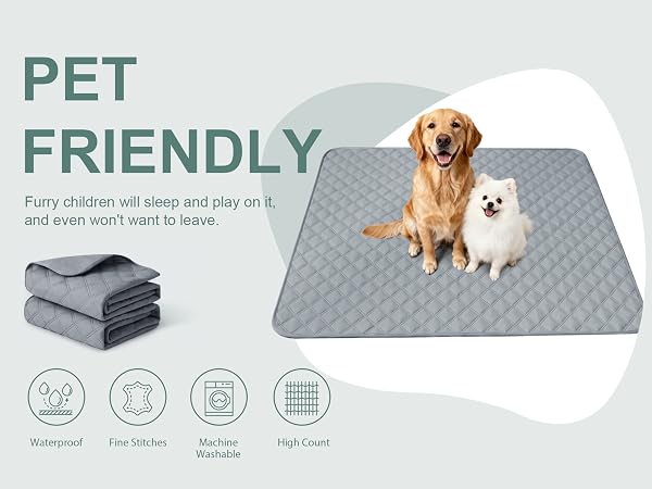 pet friendly