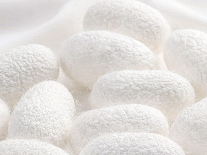 100% Pure Silk