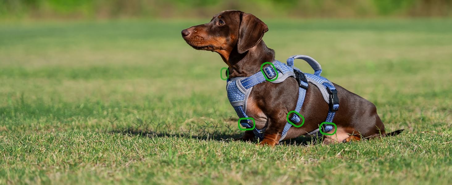 escape proof dog harness