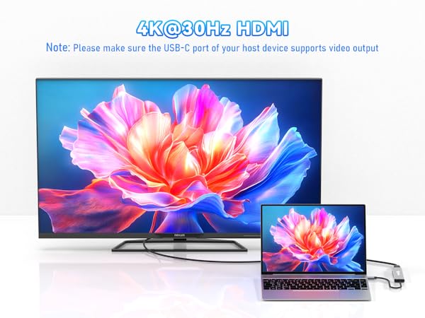 hdmi splitter for dual monitors