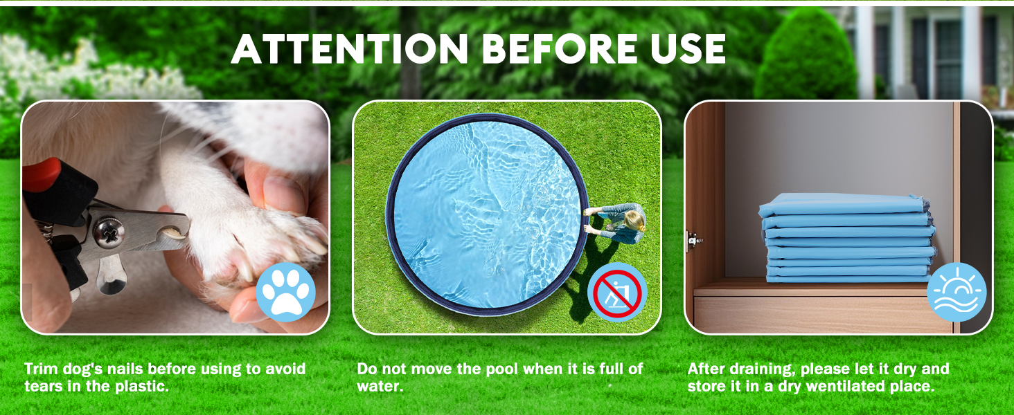 dog pool