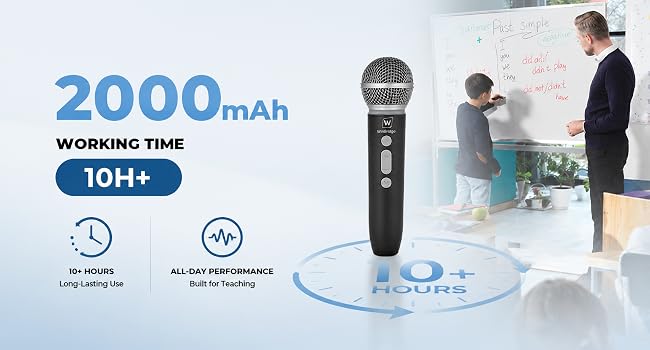 portable microphone