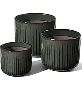 LE TAUCI Ceramic Planters for Indoor Plants, 8.3+6.9+5.7 Inch Plant Pots with Drainage Holes, Cyl...