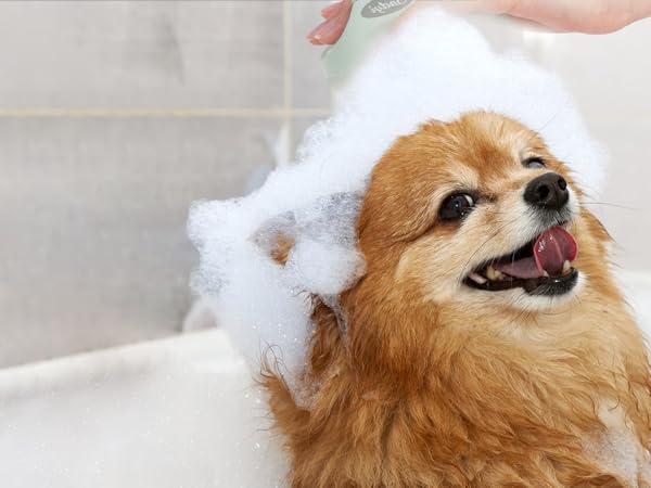 scalp massager shampoo brush