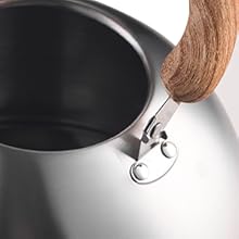 travel tea kettle