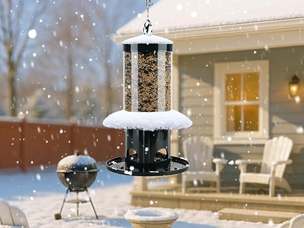 bird feeder