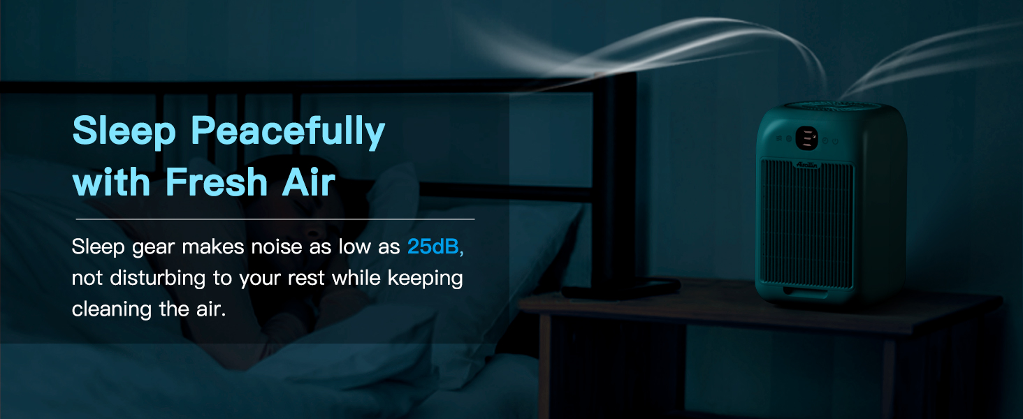  Air Purifier for Home large room