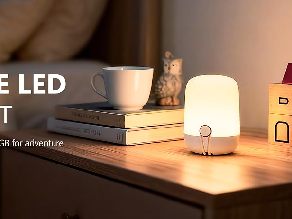 Portable Night Light