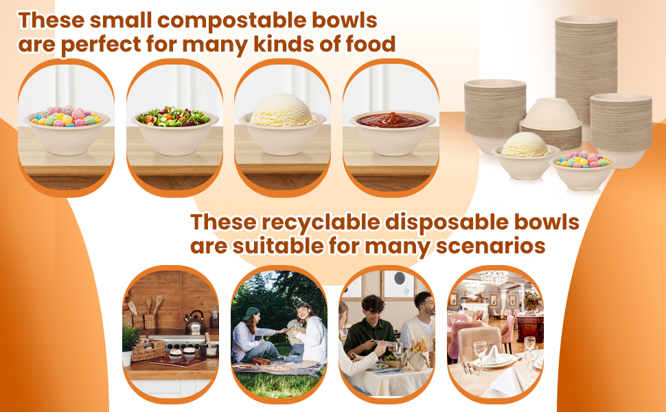disposable bowls2