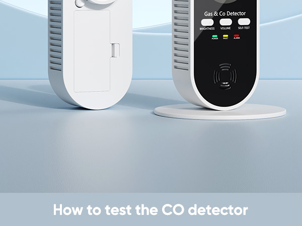 travel carbon monoxide detector