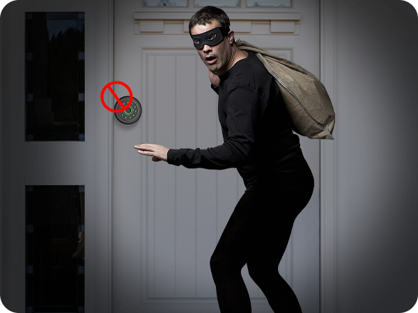 Fingerprint Door Handle automatic lockout feature